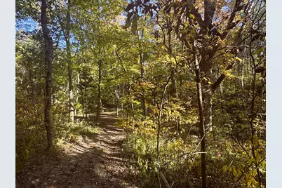 13.11 Acre Taft Hwy #Lot 1, Williamstown, KY 41097 - Photo 10