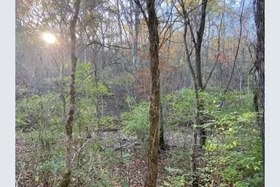 320 Old Carntown Rd., Foster, KY 41043 - Photo 1