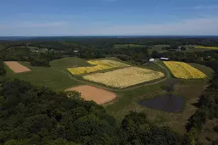 0 Little Sugar Creek Rd, Warsaw, KY 41095 - Photo 1