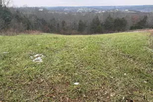 1 52 Ac Tract 4 Schlueter Rd, Demossville, KY 41033 - Photo 1