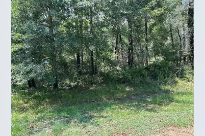 Tbd Belize Drive, Point Blank, TX 77364 - Photo 2