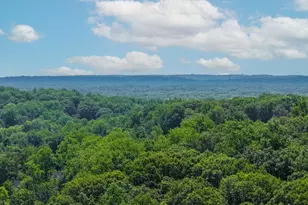 15 Long Hill Rd, Harding Township, NJ 07920 - Photo 42