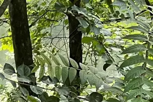 29 N Main St, Boonton Township, NJ 07005 - Photo 6