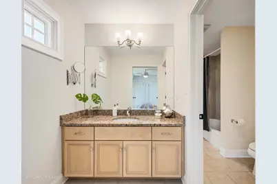 534 Sunset Avenue, La Grange, IL 60525 - Photo 38