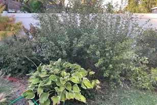 3749 Kemman Ave, Brookfield, IL 60513 - Photo 24