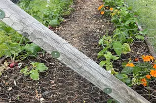 3749 Kemman Ave, Brookfield, IL 60513 - Photo 18