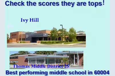 922 E Waverly Drive, Arlington Heights, IL 60004 - Photo 42