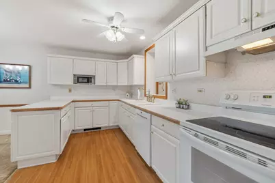 24 N Emerson Street, Mount Prospect, IL 60056 - Photo 10