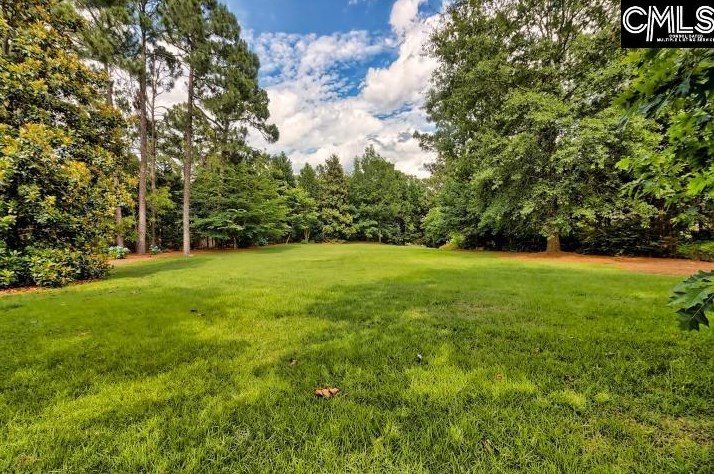 1121 Enclave Way, Columbia SC 29223-3258 exterior