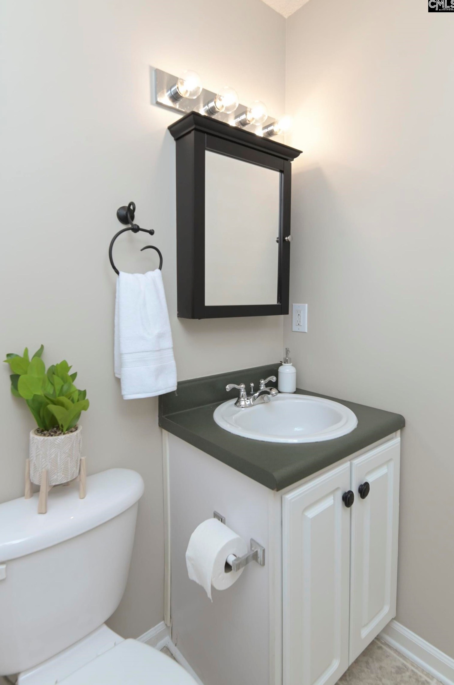 144 Longshadow Dr, Lexington SC  29072-8673 exterior