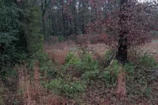 0 Popular Street Lot 1, Cayce, SC 29033 - Photo 4