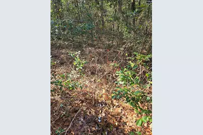 Lot 7 &amp; 8 Popular Street, Cayce, SC 29033 - Photo 4