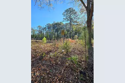 0 Lot 7 Popular Street, Cayce, SC 29033 - Photo 8