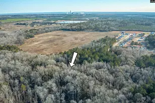 302 Sunny Acres Dr, Eastover, SC 29044 - Photo 6