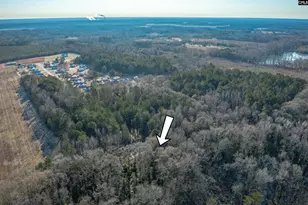 302 Sunny Acres Dr, Eastover, SC 29044 - Photo 8