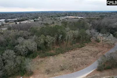 Tbd Poplar Lots A, B &amp; C Street, Cayce, SC 29033 - Photo 4