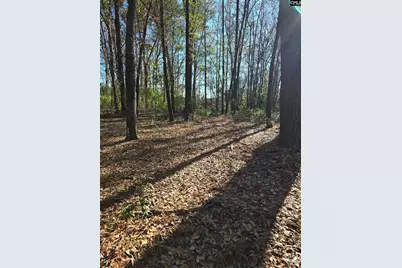 Tbd Poplar Lots A, B &amp; C Street, Cayce, SC 29033 - Photo 10