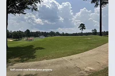 1240 Coogler Crossing Drive, Blythewood, SC 29016 - Photo 2