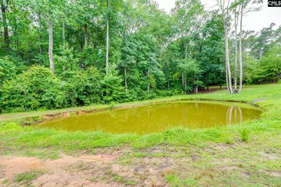 225 Dru Lane, Lugoff, SC 29078 - Photo 32