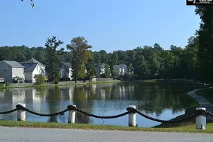 100 Palm St, Chapin, SC 29036 - Photo 32