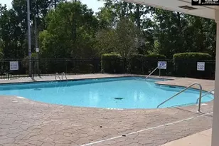 100 Palm St, Chapin, SC 29036 - Photo 30