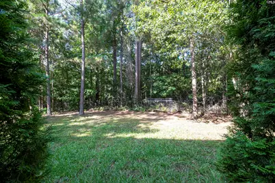 1464 Red Sunset Lane, Blythewood, SC 29016 - Photo 14