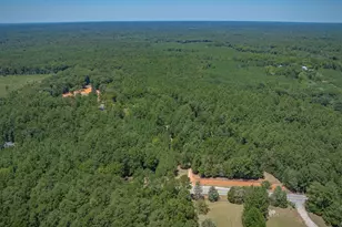 2337 Cedar Creek Rd, Blythewood, SC 29016 - Photo 54