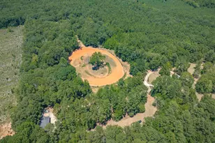 2337 Cedar Creek Rd, Blythewood, SC 29016 - Photo 58