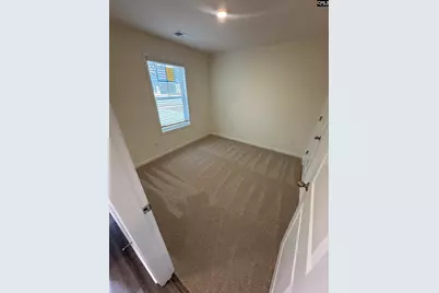 121 Prairie Grass Way, Columbia, SC 29212 - Photo 6