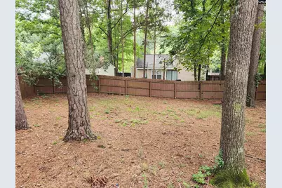 1 Pioneers Point Court, Irmo, SC 29063 - Photo 18