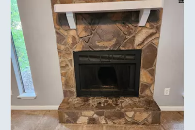 1 Pioneers Point Court, Irmo, SC 29063 - Photo 4