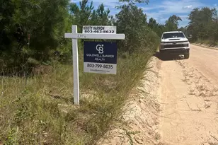 3099 Arcadia Rd, Bethune, SC 29009 - Photo 2