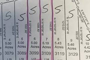 3099 Arcadia Rd, Bethune, SC 29009 - Photo 4