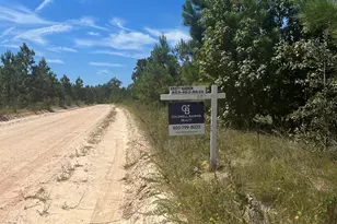 3109 Arcadia Rd, Bethune, SC 29009 - Photo 2