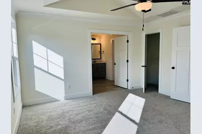 416 Destiny Farm Lane, Blythewood, SC 29016 - Photo 18