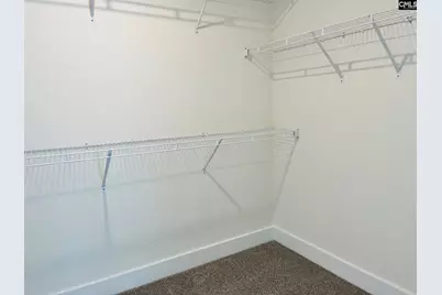 416 Destiny Farm Lane, Blythewood, SC 29016 - Photo 24