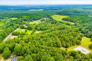 Lot B1 640 Stokes Bridge Rd W, Bishopville, SC 29010 - Photo 8