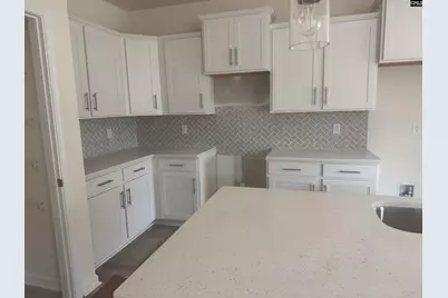 510 Griffon Drive, Chapin, SC 29036 - Photo 2