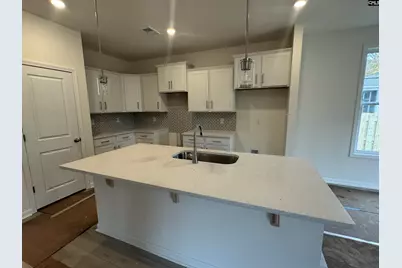 510 Griffon Drive, Chapin, SC 29036 - Photo 4