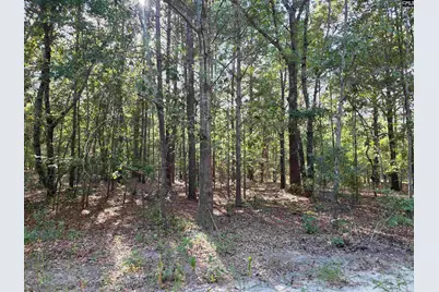 518 Whetstone Road, Swansea, SC 29160 - Photo 28