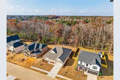 328 Murray Falls Lane, Chapin, SC 29036 - Photo 44