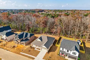 328 Murray Fls Ln, Chapin, SC 29036 - Photo 44