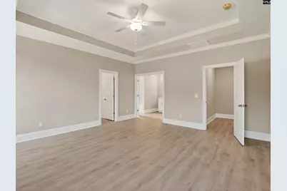 328 Murray Falls Lane, Chapin, SC 29036 - Photo 30