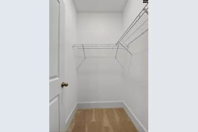 328 Murray Falls Lane, Chapin, SC 29036 - Photo 24