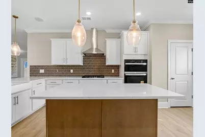 328 Murray Falls Lane, Chapin, SC 29036 - Photo 16