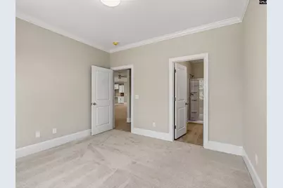 328 Murray Falls Lane, Chapin, SC 29036 - Photo 28
