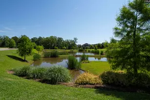 515 Malachite Ln, Chapin, SC 29036 - Photo 62