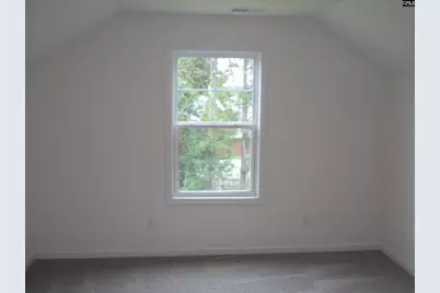 119 Locomotive (Lot 12) Lane, Irmo, SC 29063 - Photo 28