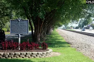 119 Locomotive Ln Lot 12, Irmo, SC 29063 - Photo 42