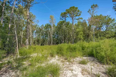 1532 Martin Luther King Boulevard, Hopkins, SC 29061 - Photo 10